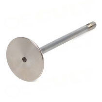 Porsche 911 (996T/997T) Turbo 2001-2009 Insugsventil OE-Cult